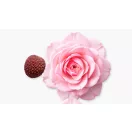Parfums De Marly Delina EDP 3ml Női Parfüm Dekant